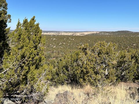 Tiny photo for lot 79 Ranch Road, Vernon, AZ 85940 (MLS # 254736)