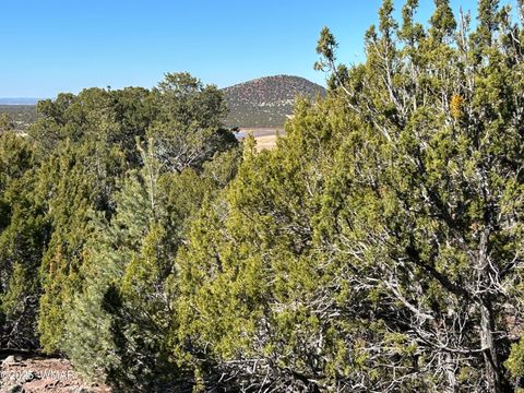 Tiny photo for lot 79 Ranch Road, Vernon, AZ 85940 (MLS # 254736)
