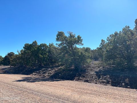 Tiny photo for lot 79 Ranch Road, Vernon, AZ 85940 (MLS # 254736)