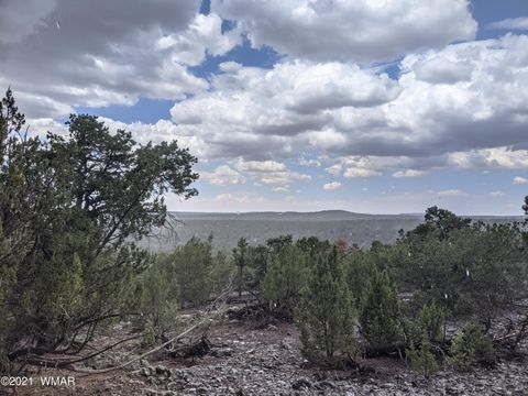 Tiny photo for lot 79 Ranch Road, Vernon, AZ 85940 (MLS # 254736)