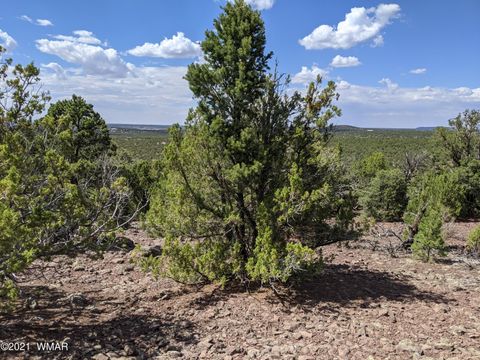 Tiny photo for lot 79 Ranch Road, Vernon, AZ 85940 (MLS # 254736)
