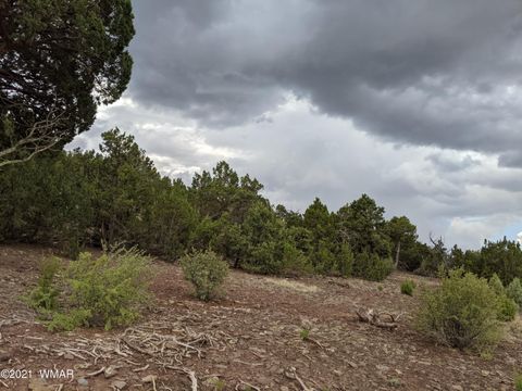 Tiny photo for lot 79 Ranch Road, Vernon, AZ 85940 (MLS # 254736)