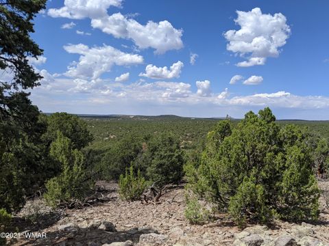 Tiny photo for lot 79 Ranch Road, Vernon, AZ 85940 (MLS # 254736)