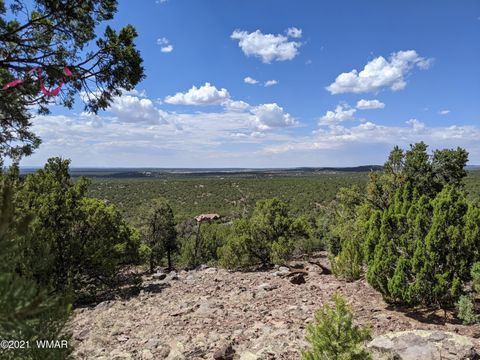 Tiny photo for lot 79 Ranch Road, Vernon, AZ 85940 (MLS # 254736)