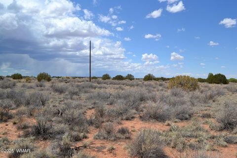 Tiny photo for Lot 020D E 24th North Street, Snowflake, AZ 85937 (MLS # 255619)