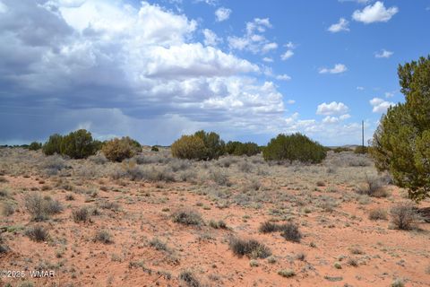 Photo of Lot 020D E 24th North Street, Snowflake, AZ 85937 (MLS # 255619)