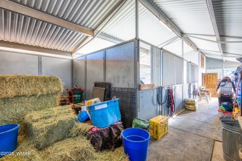 Tiny photo for 2225 State Route 77, Show Low, AZ 85901 (MLS # 258720)