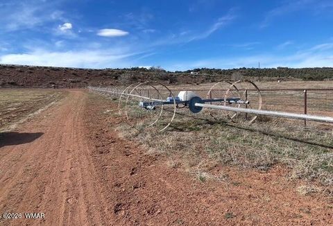 Tiny photo for 2225 State Route 77, Show Low, AZ 85901 (MLS # 258720)