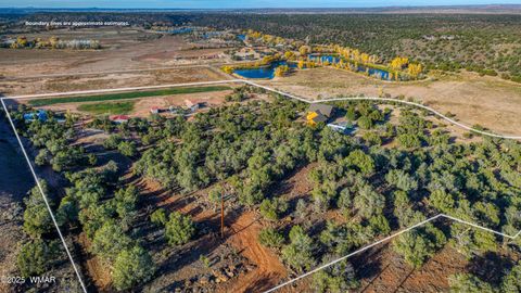 Tiny photo for 2225 State Route 77, Show Low, AZ 85901 (MLS # 258720)