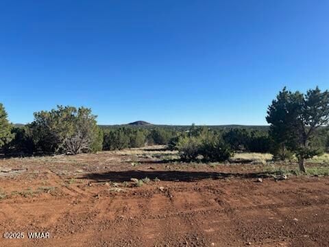 Tiny photo for 8766 Clark Road, Show Low, AZ 85901 (MLS # 256424)