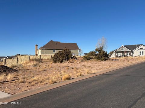 Tiny photo for 1705 W Western Dove Drive, Snowflake, AZ 85937 (MLS # 254308)