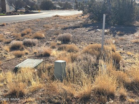 Tiny photo for 1705 W Western Dove Drive, Snowflake, AZ 85937 (MLS # 254308)