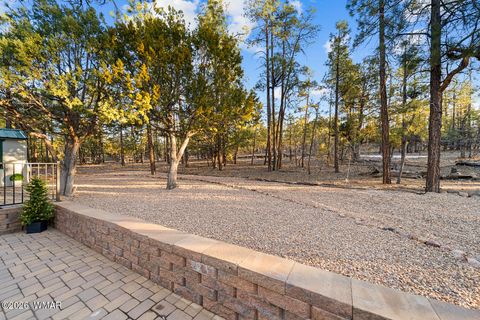 Tiny photo for 4400 S Mogollon Trail, Show Low, AZ 85901 (MLS # 259396)