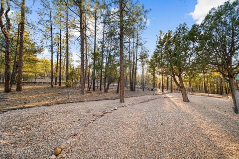 Tiny photo for 4400 S Mogollon Trail, Show Low, AZ 85901 (MLS # 259396)