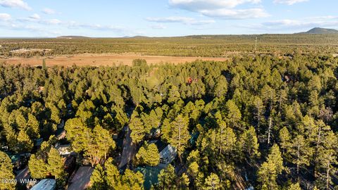 Tiny photo for 4400 S Mogollon Trail, Show Low, AZ 85901 (MLS # 259396)