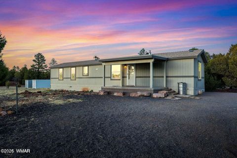 Photo of 4096 Lonely Pine Lane, Overgaard, AZ 85933 (MLS # 259579)
