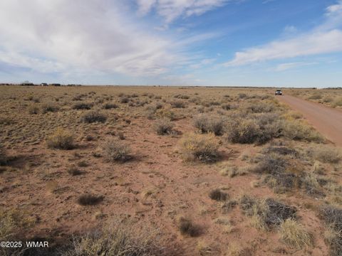 Tiny photo for 7971 Surrey Road, Holbrook, AZ 86025 (MLS # 254673)