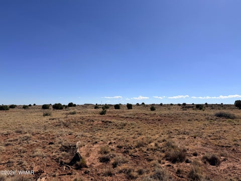 Tiny photo for 9615 E Park Place Trail, Snowflake, AZ 85937 (MLS # 262390)
