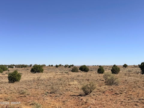 Tiny photo for 9615 E Park Place Trail, Snowflake, AZ 85937 (MLS # 262390)