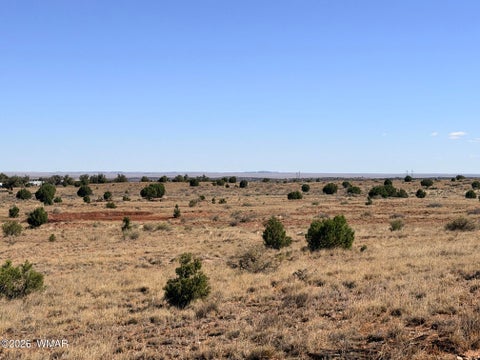Tiny photo for 9615 E Park Place Trail, Snowflake, AZ 85937 (MLS # 262390)