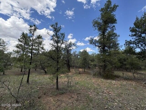 Tiny photo for 4501 W Birchleaf Lane, Show Low, AZ 85901 (MLS # 262999)