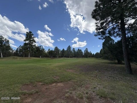 Tiny photo for 4501 W Birchleaf Lane, Show Low, AZ 85901 (MLS # 262999)
