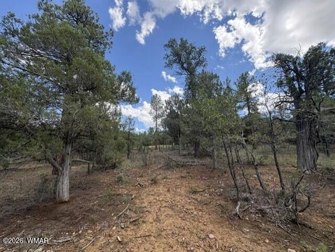 Tiny photo for 4501 W Birchleaf Lane, Show Low, AZ 85901 (MLS # 262999)