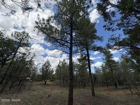 Tiny photo for 4501 W Birchleaf Lane, Show Low, AZ 85901 (MLS # 262999)