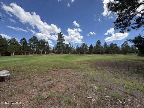 Tiny photo for 4501 W Birchleaf Lane, Show Low, AZ 85901 (MLS # 262999)