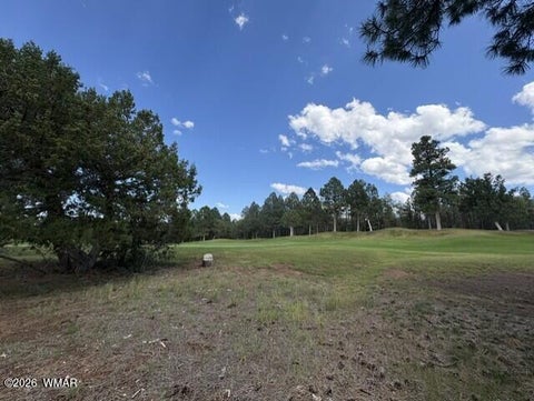 Tiny photo for 4501 W Birchleaf Lane, Show Low, AZ 85901 (MLS # 262999)