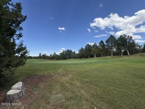 Tiny photo for 4501 W Birchleaf Lane, Show Low, AZ 85901 (MLS # 262999)
