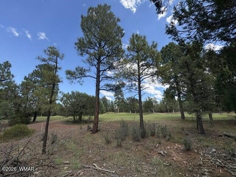 Photo of 4501 W Birchleaf Lane, Show Low, AZ 85901 (MLS # 262999)