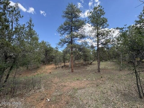 Tiny photo for 4501 W Birchleaf Lane, Show Low, AZ 85901 (MLS # 262999)