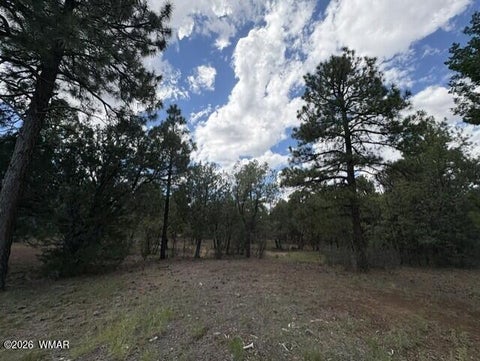 Tiny photo for 4501 W Birchleaf Lane, Show Low, AZ 85901 (MLS # 262999)