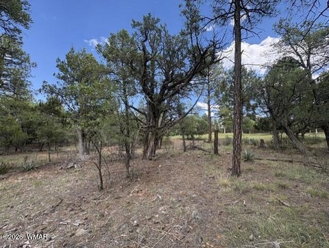 Tiny photo for 4501 W Birchleaf Lane, Show Low, AZ 85901 (MLS # 262999)