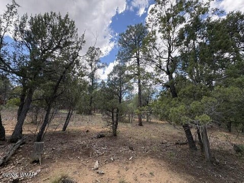 Tiny photo for 4501 W Birchleaf Lane, Show Low, AZ 85901 (MLS # 262999)