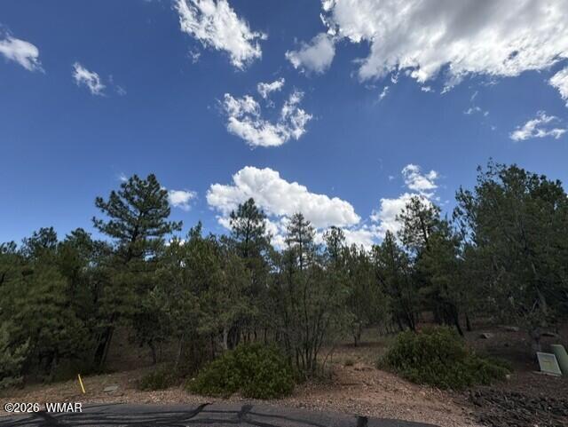 4501 W Birchleaf Lane