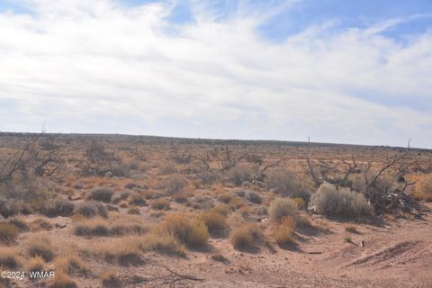 Tiny photo for 8272 Charolais Trail, Snowflake, AZ 85937 (MLS # 258729)
