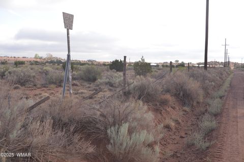 Tiny photo for 8272 Charolais Trail, Snowflake, AZ 85937 (MLS # 258729)