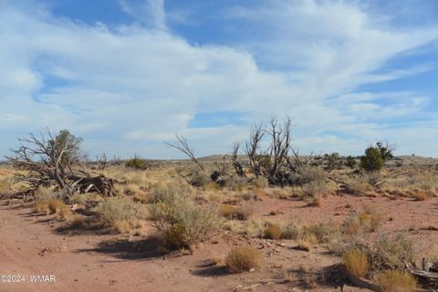 Photo of 8272 Charolais Trail, Snowflake, AZ 85937 (MLS # 258729)