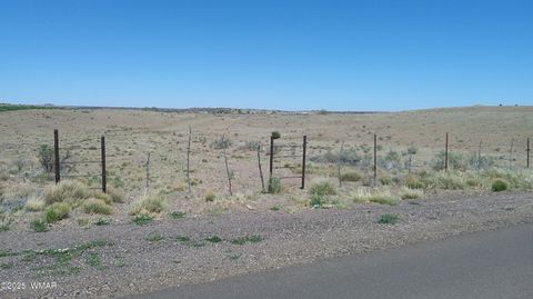 Tiny photo for TBD Hereford Rd., Taylor, AZ 85939 (MLS # 255971)