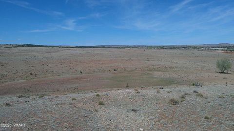 Photo of TBD Hereford Rd., Taylor, AZ 85939 (MLS # 255971)