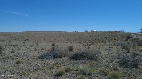 Tiny photo for TBD Hereford Rd., Taylor, AZ 85939 (MLS # 255971)