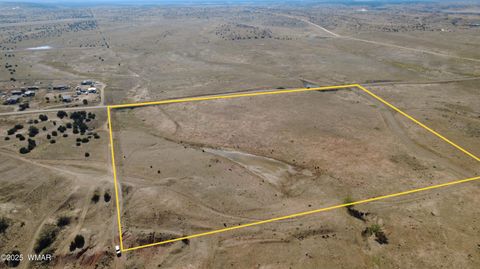 Tiny photo for TBD Hereford Rd., Taylor, AZ 85939 (MLS # 255971)