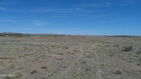 Tiny photo for TBD Hereford Rd., Taylor, AZ 85939 (MLS # 255971)