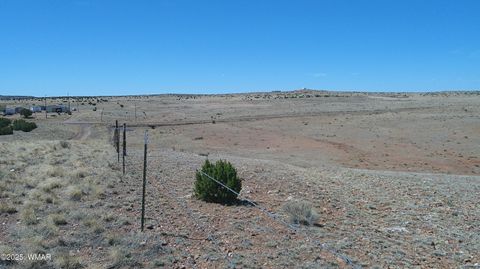Tiny photo for TBD Hereford Rd., Taylor, AZ 85939 (MLS # 255971)