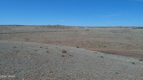 Tiny photo for TBD Hereford Rd., Taylor, AZ 85939 (MLS # 255971)