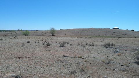 Tiny photo for TBD Hereford Rd., Taylor, AZ 85939 (MLS # 255971)