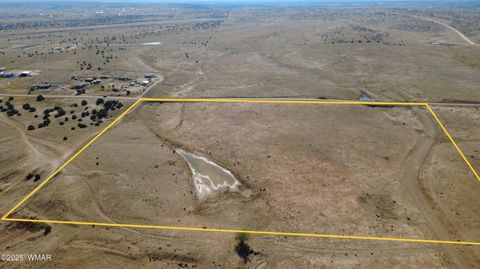 Tiny photo for TBD Hereford Rd., Taylor, AZ 85939 (MLS # 255971)