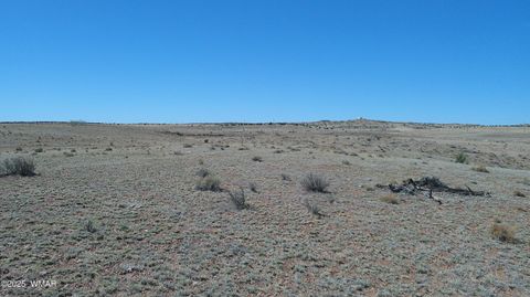 Tiny photo for TBD Hereford Rd., Taylor, AZ 85939 (MLS # 255971)